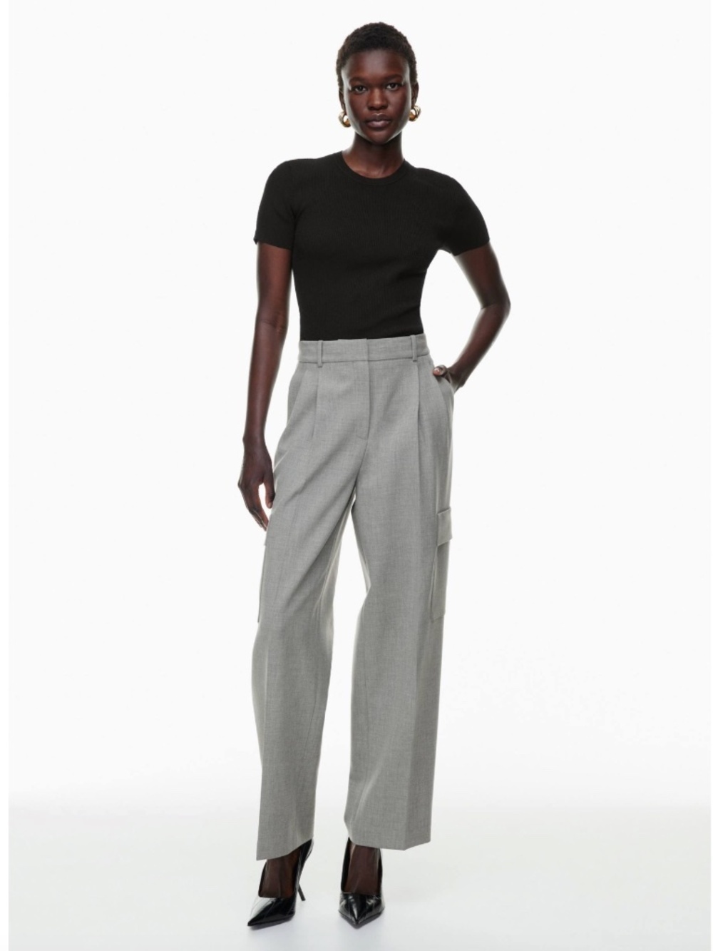 Aritzia Babaton Spotlight Cargo Pant
